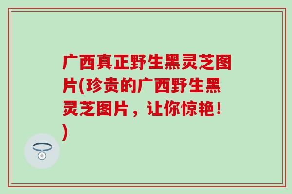 广西真正野生黑灵芝图片(珍贵的广西野生黑灵芝图片，让你惊艳！)