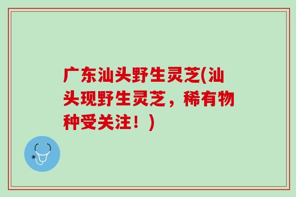广东汕头野生灵芝(汕头现野生灵芝，稀有物种受关注！)