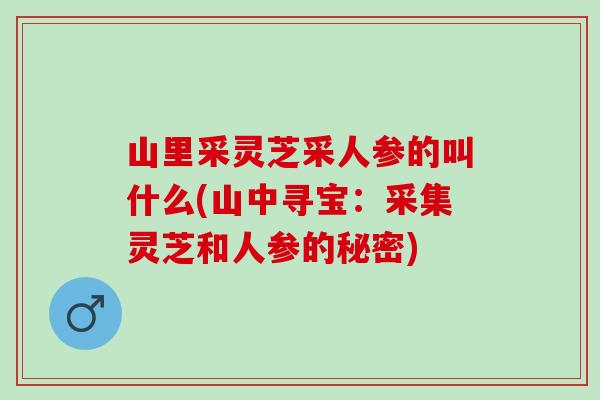 山里采灵芝采人参的叫什么(山中寻宝：采集灵芝和人参的秘密)