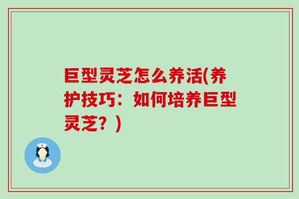 巨型灵芝怎么养活(养护技巧：如何培养巨型灵芝？)