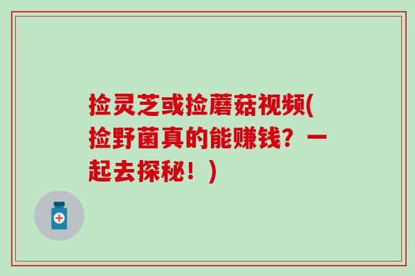 捡灵芝或捡蘑菇视频(捡野菌真的能赚钱？一起去探秘！)