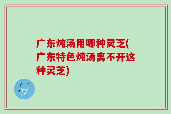 广东炖汤用哪种灵芝(广东特色炖汤离不开这种灵芝)