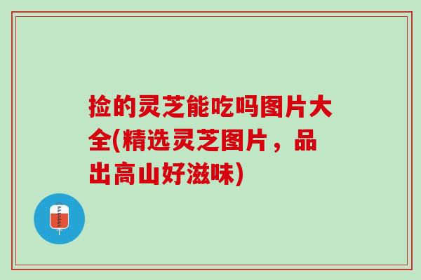 捡的灵芝能吃吗图片大全(精选灵芝图片，品出高山好滋味)