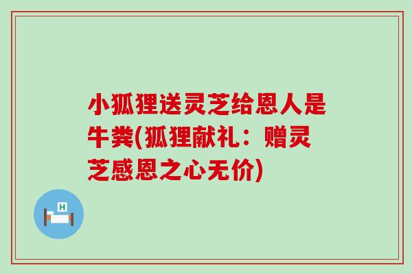小狐狸送灵芝给恩人是牛粪(狐狸献礼：赠灵芝感恩之心无价)