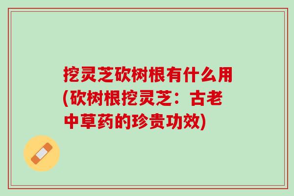 挖灵芝砍树根有什么用(砍树根挖灵芝：古老中草药的珍贵功效)