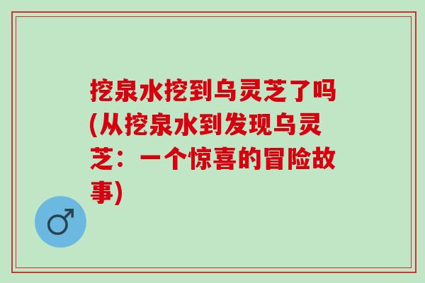 挖泉水挖到乌灵芝了吗(从挖泉水到发现乌灵芝：一个惊喜的冒险故事)