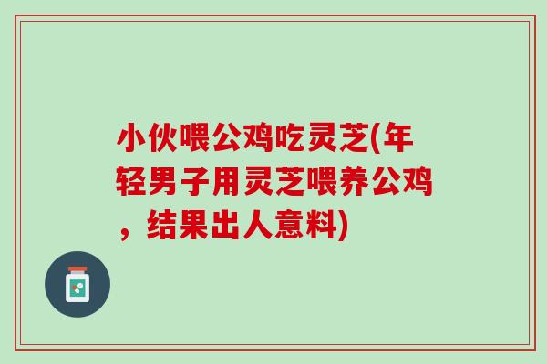 小伙喂公鸡吃灵芝(年轻男子用灵芝喂养公鸡，结果出人意料)