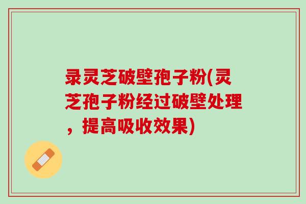 录灵芝破壁孢子粉(灵芝孢子粉经过破壁处理，提高吸收效果)