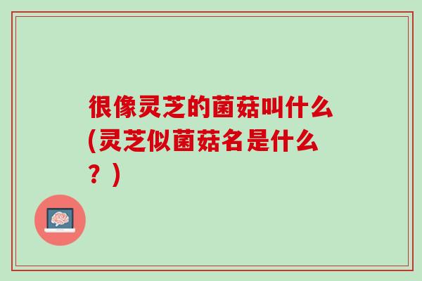 很像灵芝的菌菇叫什么(灵芝似菌菇名是什么？)