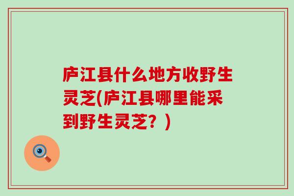 庐江县什么地方收野生灵芝(庐江县哪里能采到野生灵芝？)