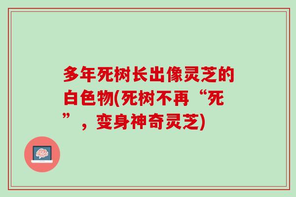 多年死树长出像灵芝的白色物(死树不再“死”,变身神奇灵芝) 多年死树长出像灵芝的白色物(死树不再“死”,变身神奇灵芝)