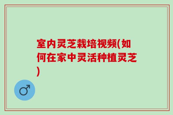 室内灵芝栽培视频(如何在家中灵活种植灵芝)