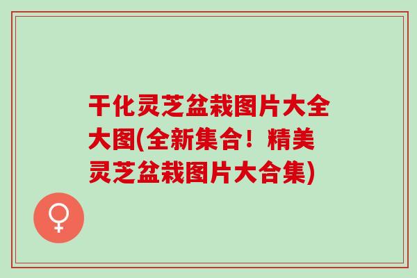 干化灵芝盆栽图片大全大图(全新集合！精美灵芝盆栽图片大合集)
