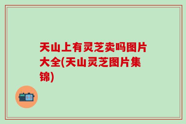 天山上有灵芝卖吗图片大全(天山灵芝图片集锦)