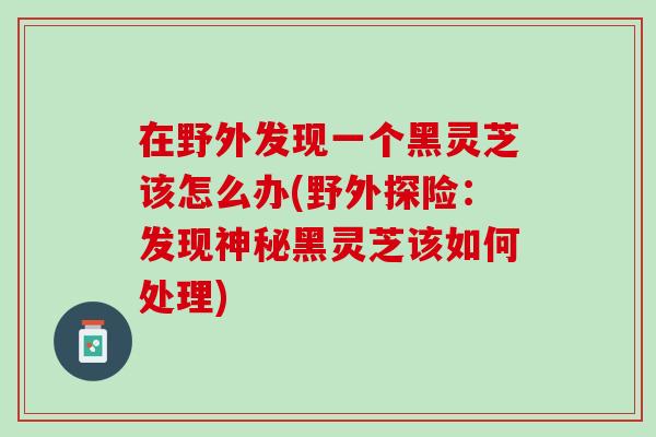 在野外发现一个黑灵芝该怎么办(野外探险：发现神秘黑灵芝该如何处理)