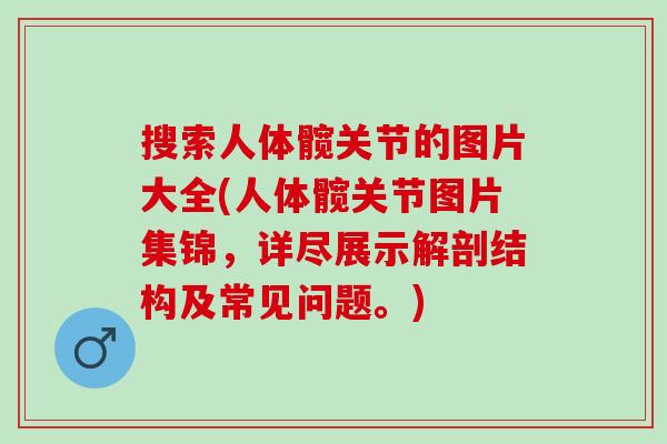 搜索人体髋关节的图片大全(人体髋关节图片集锦，详尽展示解剖结构及常见问题。)