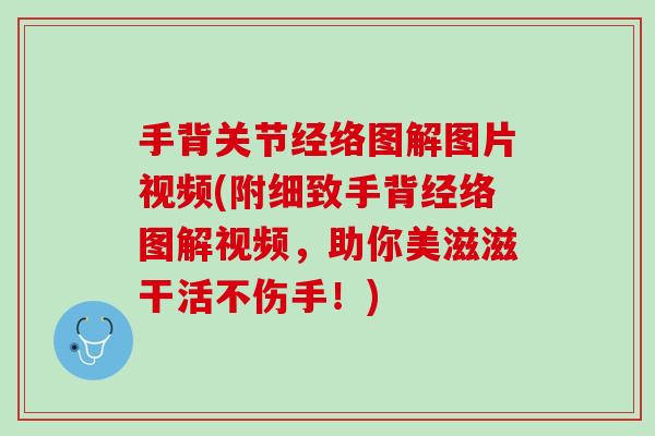手背关节经络图解图片视频(附细致手背经络图解视频，助你美滋滋干活不伤手！)
