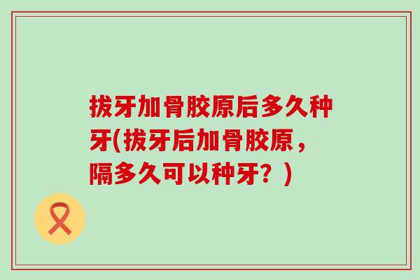 拔牙加骨胶原后多久种牙(拔牙后加骨胶原，隔多久可以种牙？)