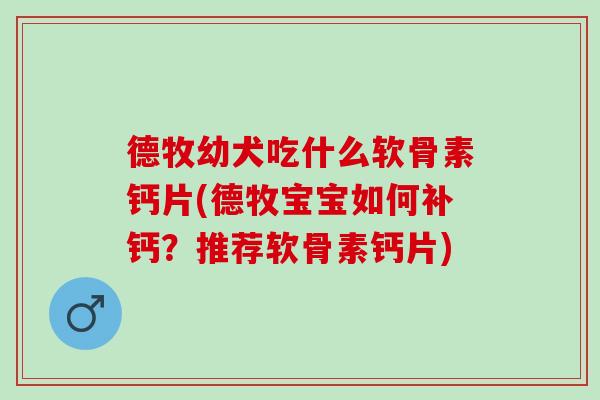 德牧幼犬吃什么软骨素钙片(德牧宝宝如何补钙？推荐软骨素钙片)