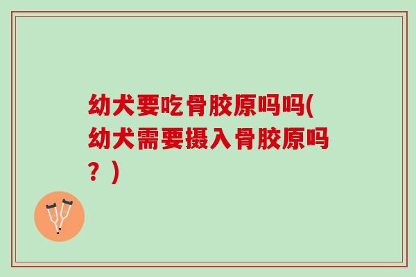 幼犬要吃骨胶原吗吗(幼犬需要摄入骨胶原吗？)