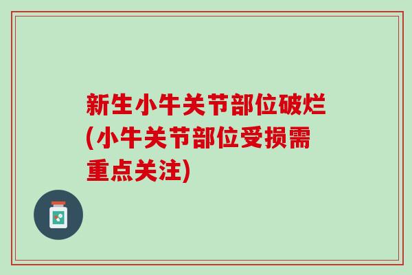 新生小牛关节部位破烂(小牛关节部位受损需重点关注)