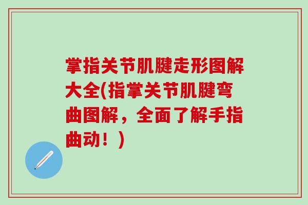 掌指关节肌腱走形图解大全(指掌关节肌腱弯曲图解，全面了解手指曲动！)