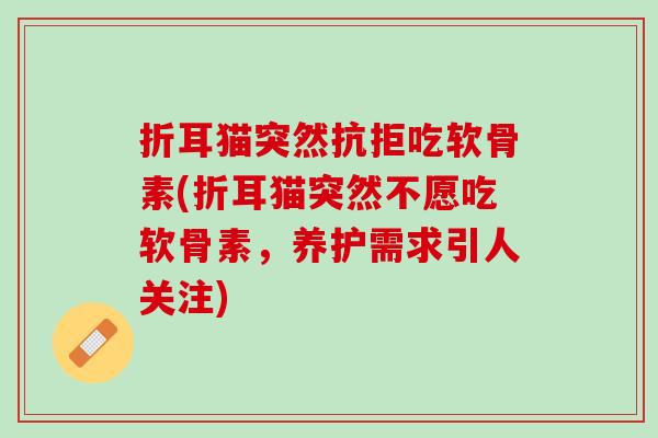 折耳猫突然抗拒吃软骨素(折耳猫突然不愿吃软骨素，养护需求引人关注)