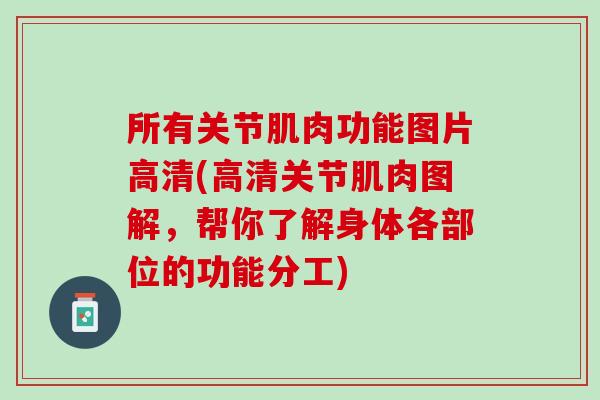 所有关节肌肉功能图片高清(高清关节肌肉图解，帮你了解身体各部位的功能分工)