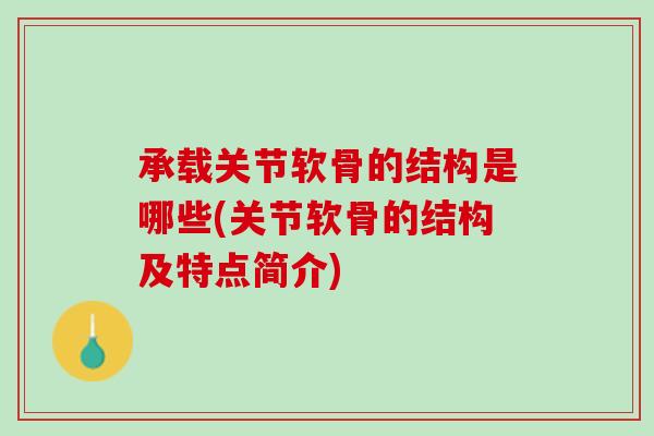 承载关节软骨的结构是哪些(关节软骨的结构及特点简介)