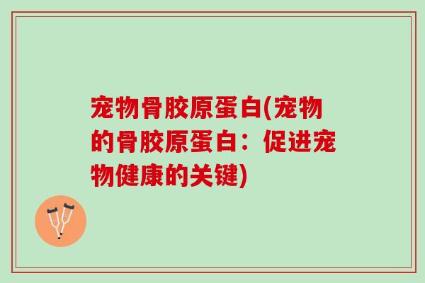 宠物骨胶原蛋白(宠物的骨胶原蛋白：促进宠物健康的关键)