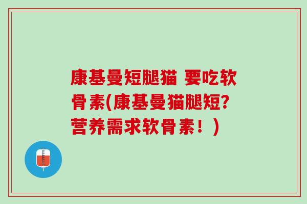 康基曼短腿猫 要吃软骨素(康基曼猫腿短？营养需求软骨素！)