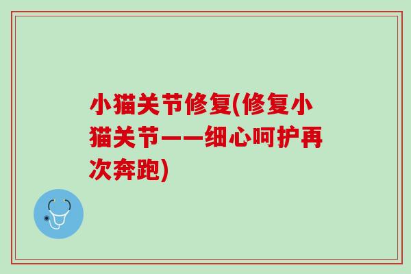 小猫关节修复(修复小猫关节——细心呵护再次奔跑)