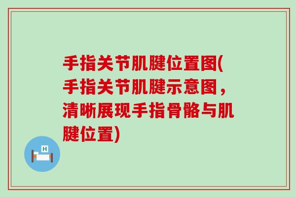 手指关节肌腱位置图(手指关节肌腱示意图，清晰展现手指骨骼与肌腱位置)