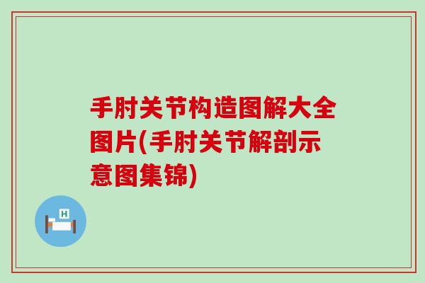 手肘关节构造图解大全图片(手肘关节解剖示意图集锦)