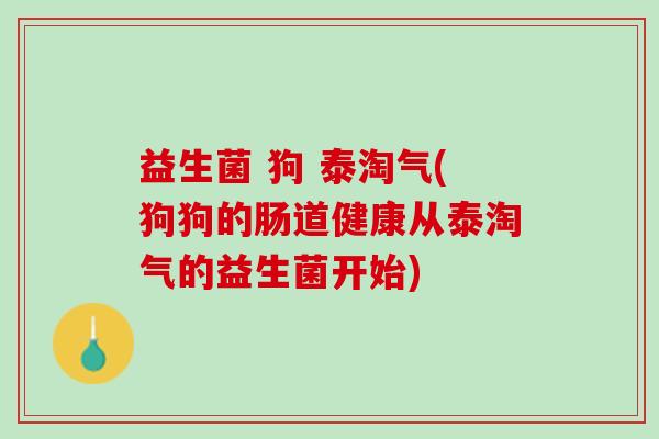 益生菌 狗 泰淘气(狗狗的肠道健康从泰淘气的益生菌开始)