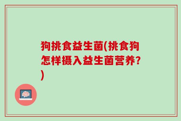 狗挑食益生菌(挑食狗怎样摄入益生菌营养？)