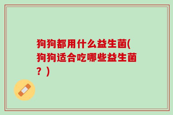 狗狗都用什么益生菌(狗狗适合吃哪些益生菌？)