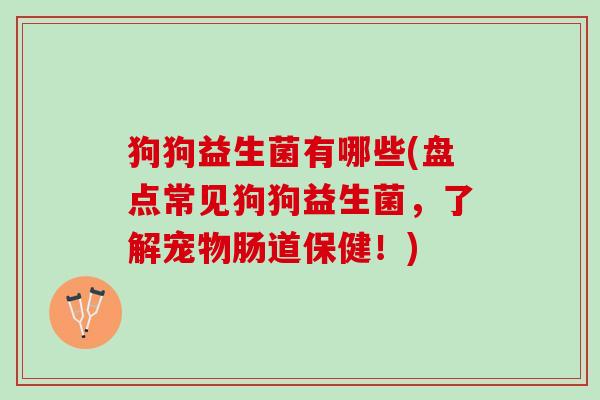 狗狗益生菌有哪些(盘点常见狗狗益生菌，了解宠物肠道保健！)