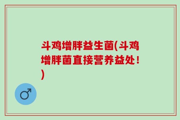 斗鸡增胖益生菌(斗鸡增胖菌直接营养益处！)