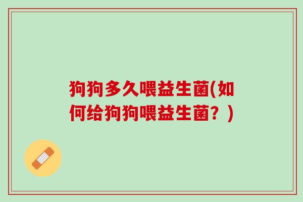 狗狗多久喂益生菌(如何给狗狗喂益生菌？)