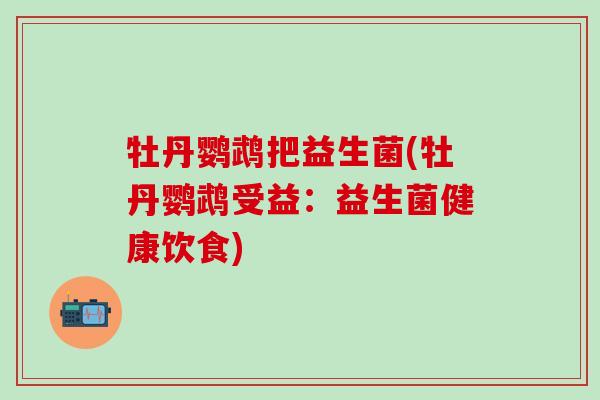 牡丹鹦鹉把益生菌(牡丹鹦鹉受益：益生菌健康饮食)