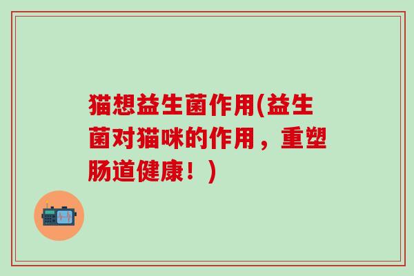 猫想益生菌作用(益生菌对猫咪的作用，重塑肠道健康！)