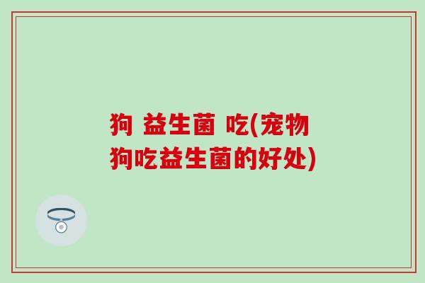 狗 益生菌 吃(宠物狗吃益生菌的好处)