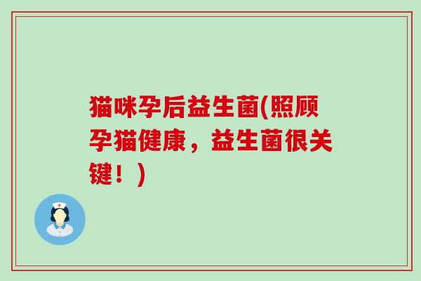 猫咪孕后益生菌(照顾孕猫健康，益生菌很关键！)