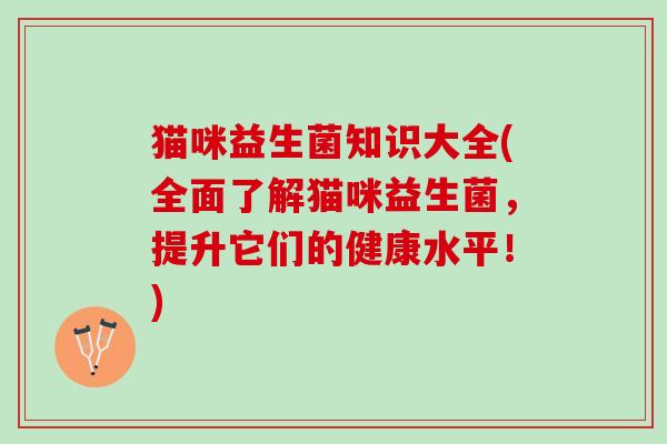 猫咪益生菌知识大全(全面了解猫咪益生菌，提升它们的健康水平！)