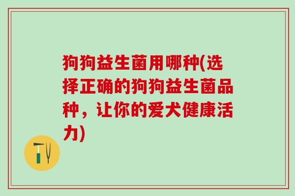 狗狗益生菌用哪种(选择正确的狗狗益生菌品种，让你的爱犬健康活力)