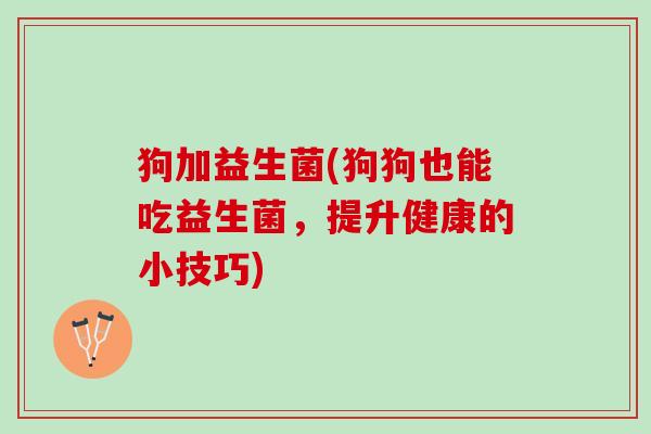 狗加益生菌(狗狗也能吃益生菌，提升健康的小技巧)