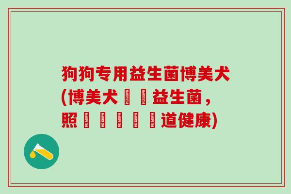 狗狗专用益生菌博美犬(博美犬專屬益生菌，照顧貴寵寵腸道健康)