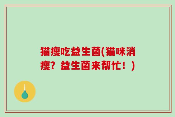 猫瘦吃益生菌(猫咪消瘦？益生菌来帮忙！)