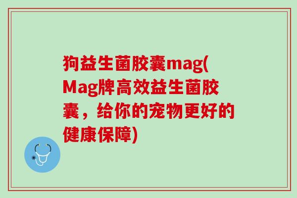 狗益生菌胶囊mag(Mag牌高效益生菌胶囊，给你的宠物更好的健康保障)